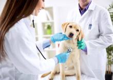 Nos prestations à Hyères, dans le Var (83)